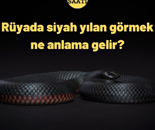 ruyada siyah kara yilan gormek ne anlama gelir fikir saati