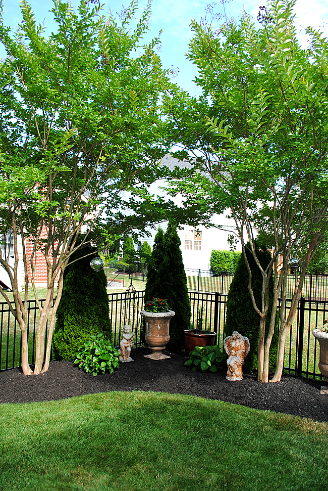 Garden Landscape Ideas