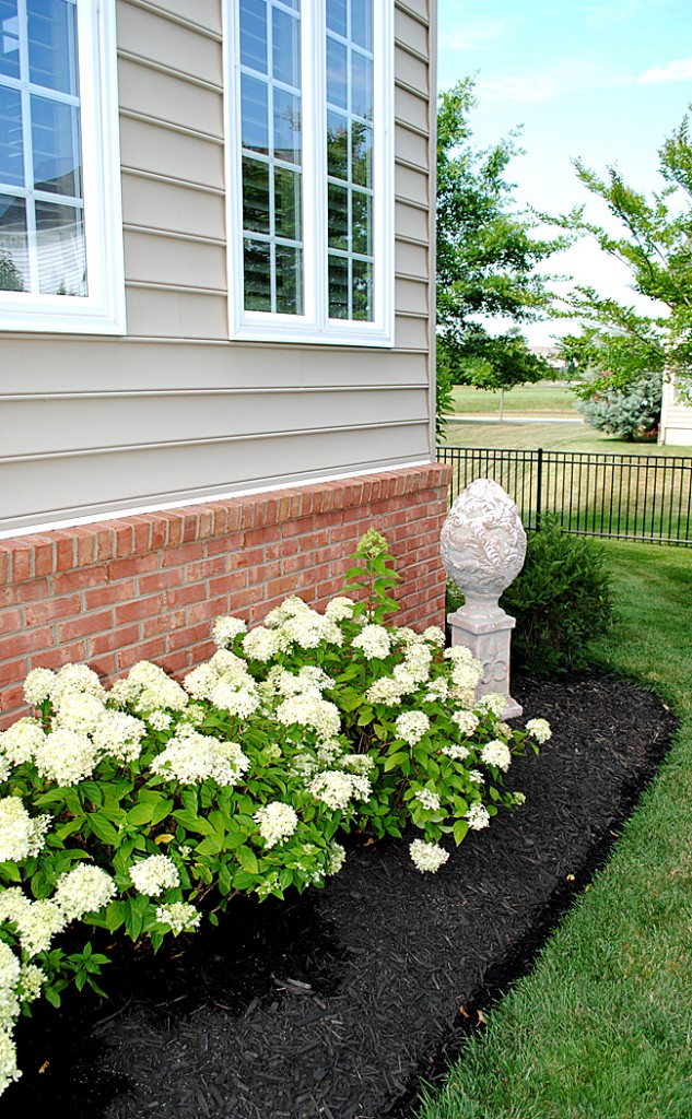 Garden Statuary