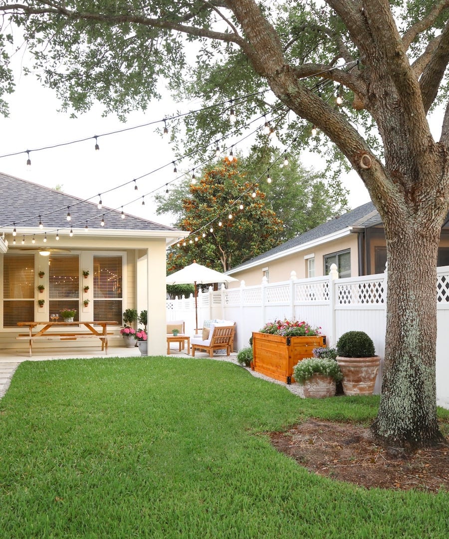 backyard string lights tree base