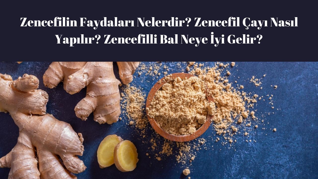 Zencefilin Faydaları Nelerdir Zencefil Çayı Nasıl Yapılır Zencefilli Bal Neye İyi Gelir